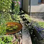 Alsovka Σπίτι διακοπών Medenec