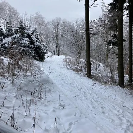 Alsovka Měděnec