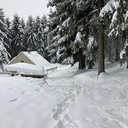 Alsovka Holiday home