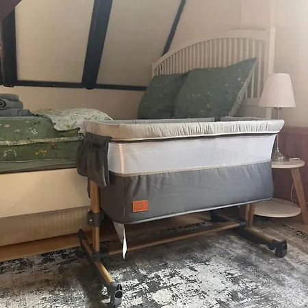 Alsovka بيت للعطل Medenec