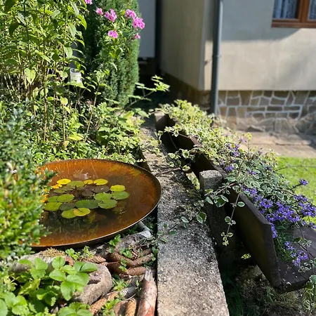 Alsovka 度假居 Medenec