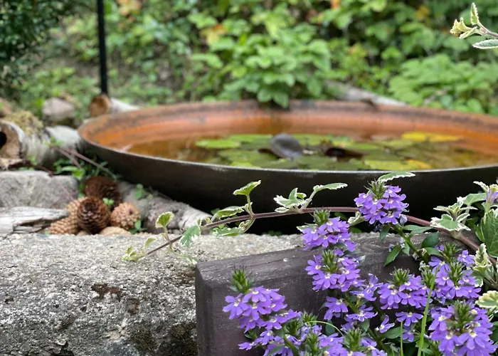 Semesterbostad Alsovka